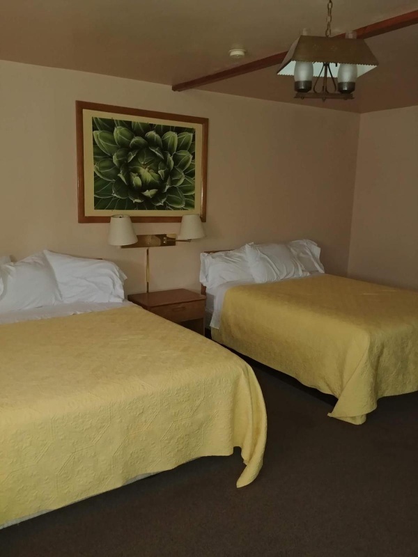 Cactus Inn image 3